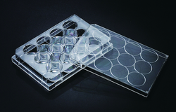 Non TC Treated Plates