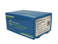Protein Extraction