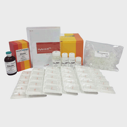 RNA Extraction Kits
