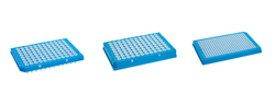 Hard Shell PCR Plates