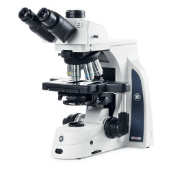 Euromex Compound Microscopes