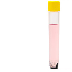 External Thread 2D Tubes
