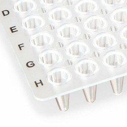Globe Scientific PCR Plates