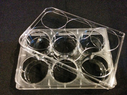 TC Treated Plates