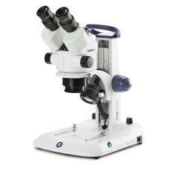 Euromex Stereo Microscopes