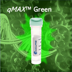 Accuris qMAX™ Green qPCR Mix