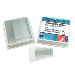 Positive Charged Microscope Slides