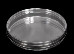 100mm Petri Dishes