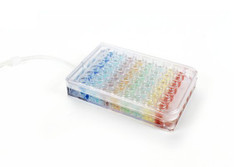 3D Cell Culture Perfusion
