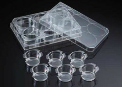 PET Well Inserts