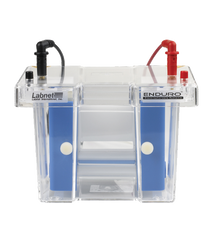PAGE/Electroblotting/2D Gels