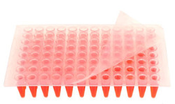 Clear PCR Plate Seals