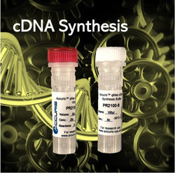 Accuris qMAX™ cDNA Synthesis Kit