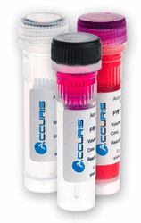 PCR Enzymes and Kits