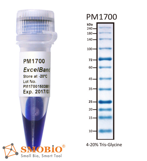 ExcelBand All Blue Broad Range Plus Protein Marker 250µl x 2 ExcelBand All Blue Broad Range Plus Protein Marker 250µl x 2