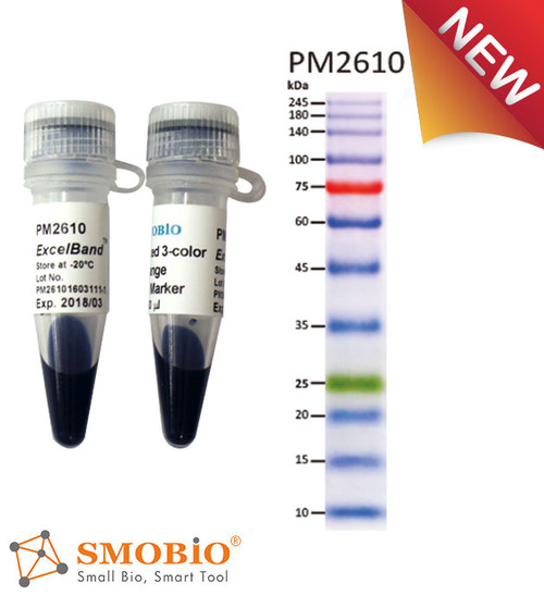 Enhanced 3-color High Range Protein Marker (9-245 kDa)  250µl x 2