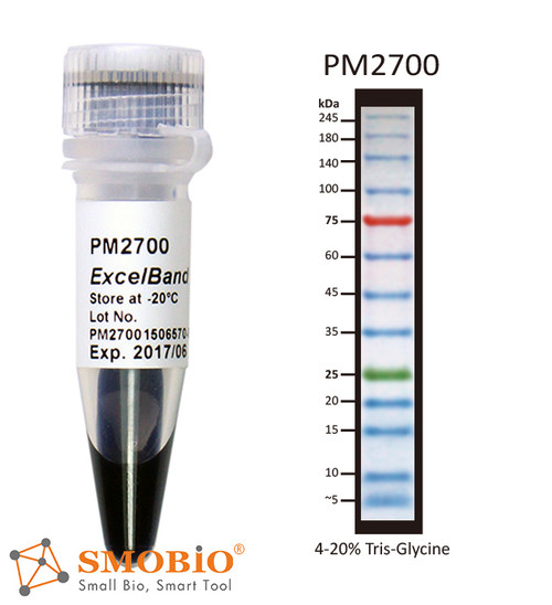 ExcelBand 3-color Broad Range Protein Marker 250µl x 2 ExcelBand 3-color Broad Range Protein Marker 250µl x 2
