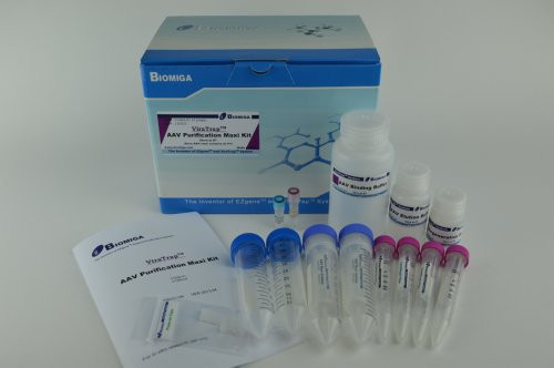 Biomiga Adeno-Associated Virus Purification Maxi Prep Kit, serotype 2 and DJ, 4 preps