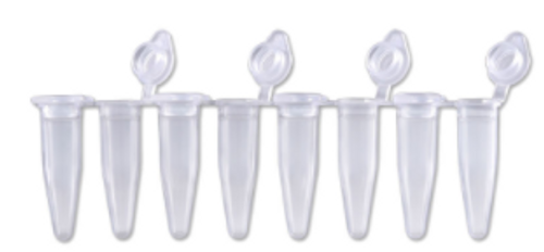 PureAmp™ PCR Strip Tubes with Attached Flat Caps, RNase/DNase Free, High-Profile 02.mL Per Tube