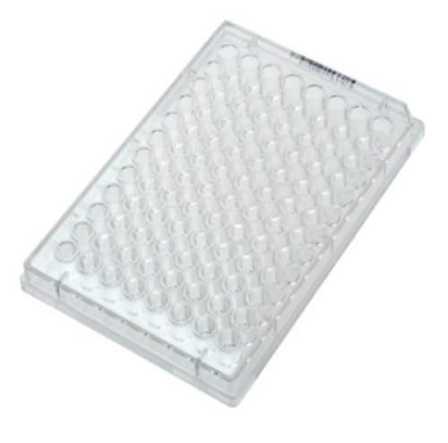 Celltreat 96 Well Polystyrene Non Treated Multi-Well Plates for Growing Suspension Cells - Cell Culture Supplies - Stellar Scientific