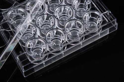 Nest Scientific Tissue Culture Treated 12 Well Cell Culture Transwells In 12 Well Plate For In Vivo Like Cell Growth - Lab Supplies - Stellar Scientific