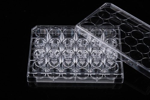 Nest Scientific Non-Tissue Culture Treated 12 Well Cell Culture Transwells In 24 Well Plate For In Vivo Like Cell Growth - Lab Supplies - Stellar Scientific