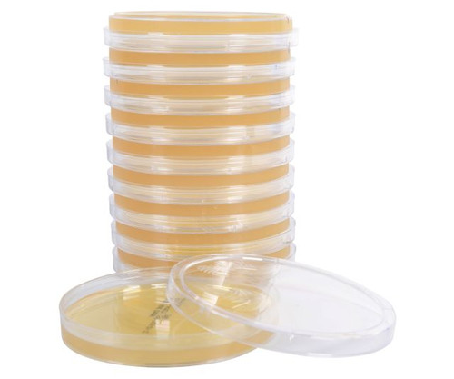 Hardy Diagnostics Sabouraud Dextrose SabDex Agar Emmons w20 - Preplated Media for Clinical Labs - Stellar Scientific Hardy Diagnostics Sabouraud Dextrose SabDex Agar Emmons w20 - Preplated Media for Clinical Labs - Stellar Scientific