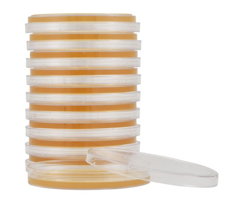 Hardy Diagnostics G102 Mycoplasma Agar, Without Plate Label, 15 x 100mm Plates Pack of 10 Plates Hardy Diagnostics G102 Mycoplasma Agar, Without Plate Label, 15 x 100mm Plates Pack of 10 Plates