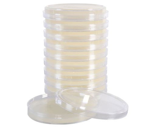 Cetrimide Selective Agar, USP, for Pseudomonas, Pack of 10 Plates Cetrimide Selective Agar, USP, for Pseudomonas, Pack of 10 Plates