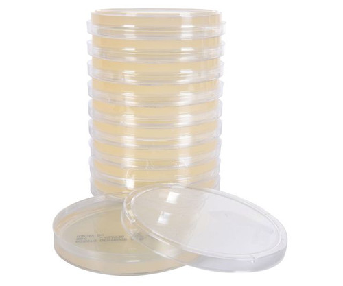 Hardy Diagnostics W60 Potato Dextrose Agar (PDA), USP, for Fungal Cultures, Deep Fill, 15x100mm, Pack of 10 Plates Hardy Diagnostics W60 Potato Dextrose Agar (PDA), USP, for Fungal Cultures, Deep Fill, 15x100mm, Pack of 10 Plates