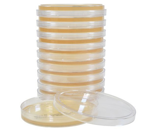 Hardy Diagnostics G60 Tryptic Soy Agar (TSA), USP, 15x100mm
