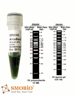 SMOBio DM2400 AccuBand™ 100 bp+3K DNA Ladder II, 500 μl