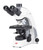 Motic Panthera_C2_Trinocular Compound Microscope With Phase Contrast - Microscopy Supplies - Stellar Scientific
