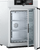Memmert IF160Plus Forced Air Convection Incubator For Microbiology and General Laboratory Use - Lab Incubators  - Stellar Scientific
