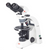 BA310POL Binocular Upright Microscope For Petrography and Minerology - Microscopy Supplies - Stellar Scientific