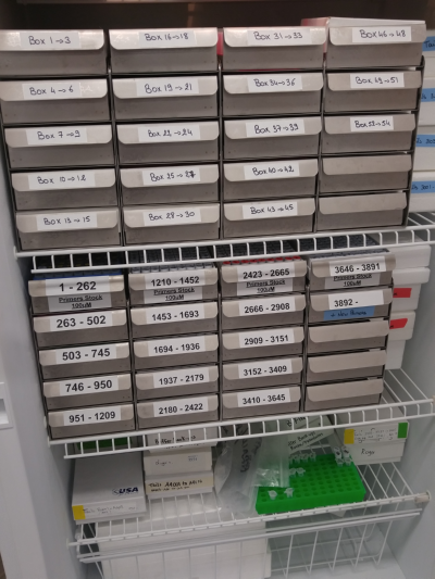 Use These Five Easy Steps to Organize any Lab Freezer - Stellar Scientific