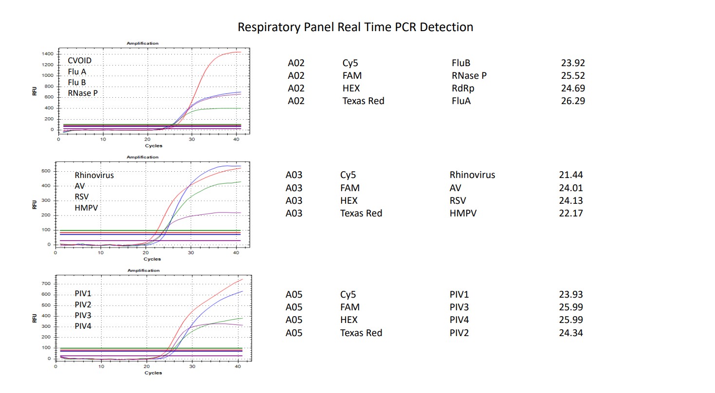 biomiga-respiratory-panel-qpcr-detection-kit-amplification-data.jpg