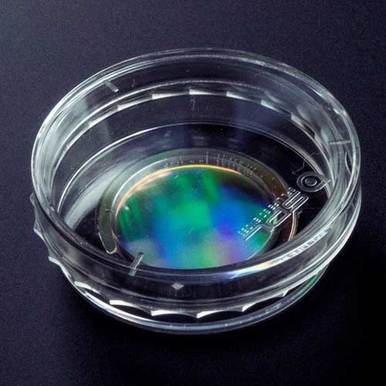 Get a Grip! Cells in culture need a surface that they can hold on to ...