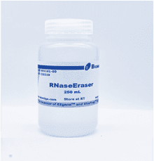 RNaseErase Solution, 250mL 