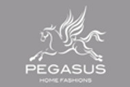 Pegasus