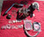 T3/T4 FULL Turbo Kit - Acura Integra Civic B16 B18 JDM