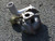 Jetta Golf AUDI A3 TT K04-001 Turbo New Turbocharger
