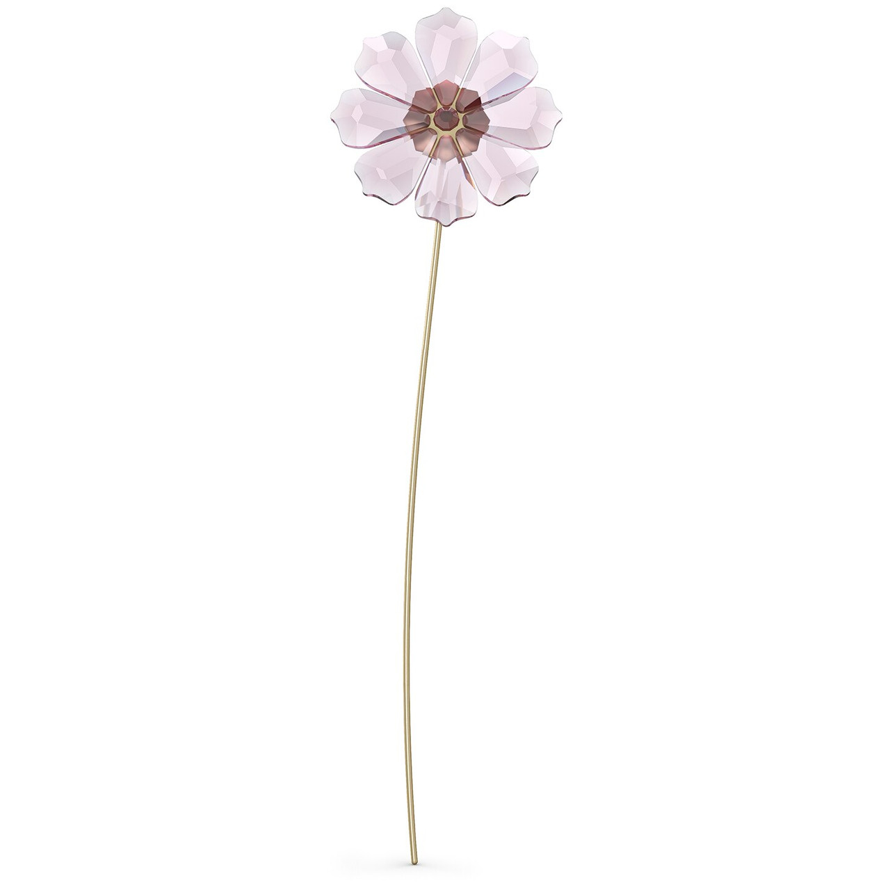 Swarovski Garden Tales: Cosmos Flower Decoration, Pink, 5557801
