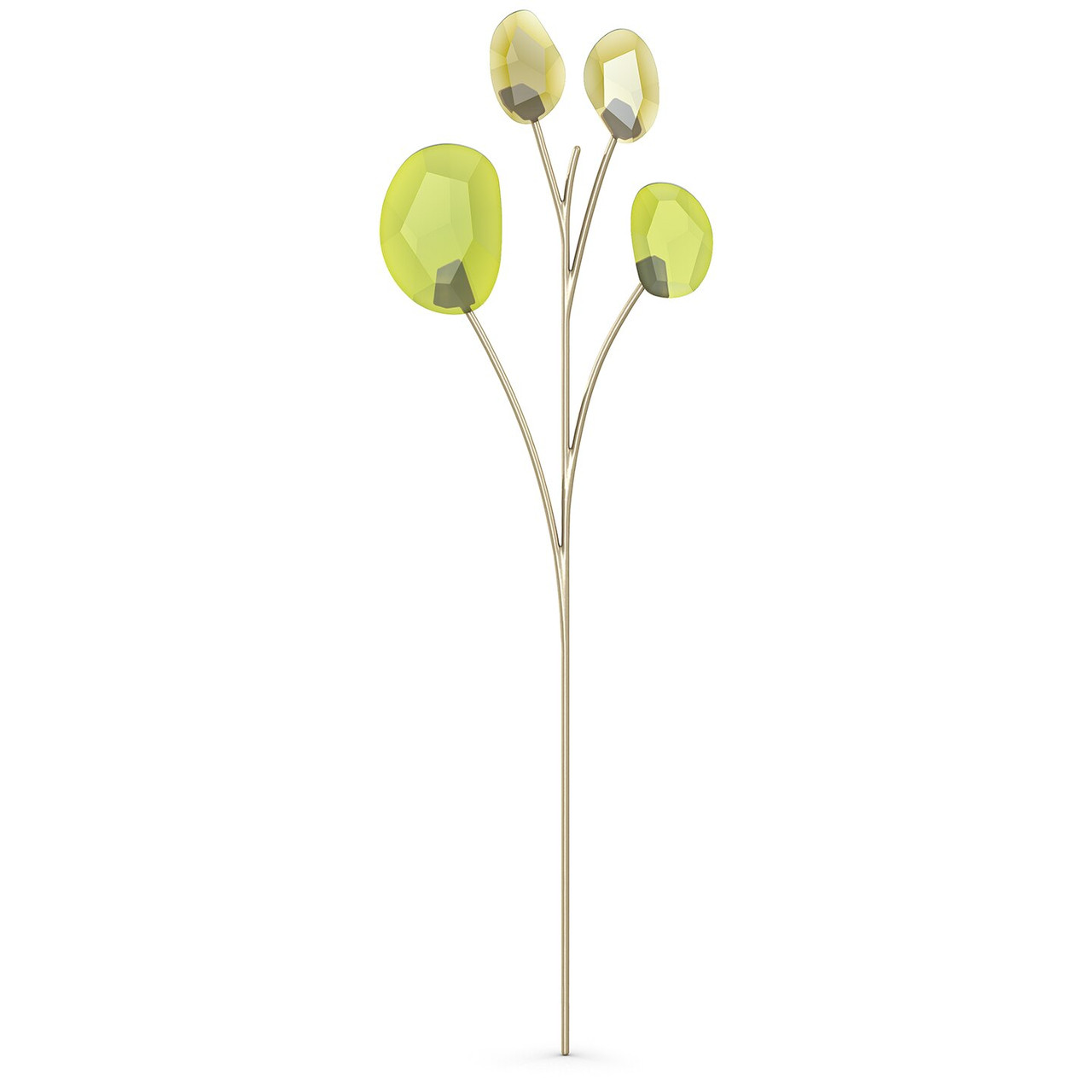 Swarovski Garden Tales Eucalyptus Decoration, Green, 5557803