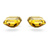 swarovski-lucent-stud-earrings-yellow-gold-tone-plated-5626605-2