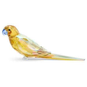 swarovski-jungle-beats-yellow-parakeet-lechee-5619217 swarovski-jungle-beats-yellow-parakeet-lechee-5619217