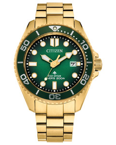 Eco Drive Men's Promaster Dive Green Dial Stainless Steel Watch BN0262-59W | Citizen