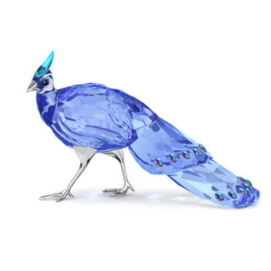 idyllia-scs-palawan-peacock-pheasant-swarovski-5717851-1