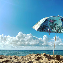 Summer Vacation Summer Vacation