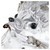 idyllia-hedgehog-swarovski-5732808-2